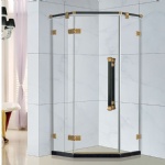 Shower Room Idea SL-R6818