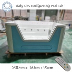 High Quality Remote Baby Jacuzzi Pool Tub With Bluetooth Music